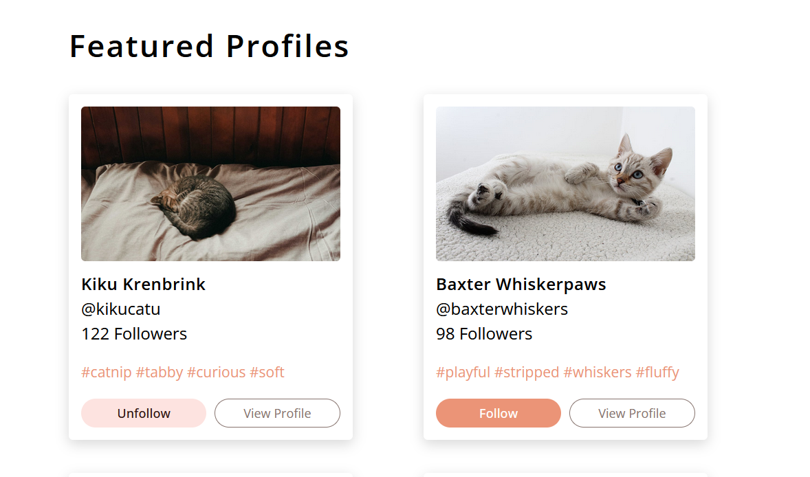 Catspace feature profiles