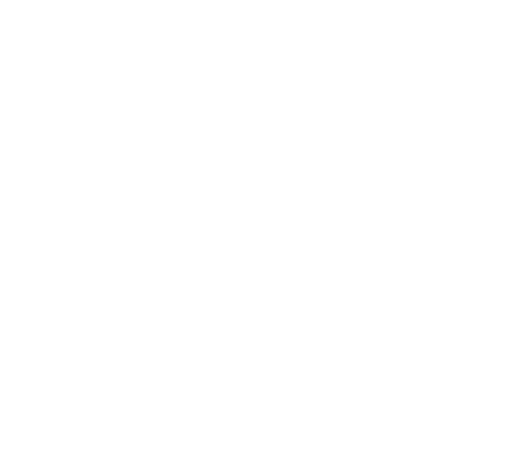 Megan Krenbrink Logo